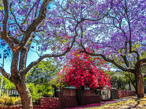 Pretoria