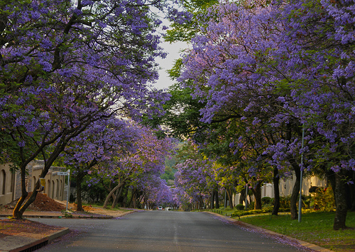 Pretoria