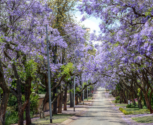 Pretoria